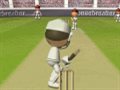 Flash Cricket 2 Game